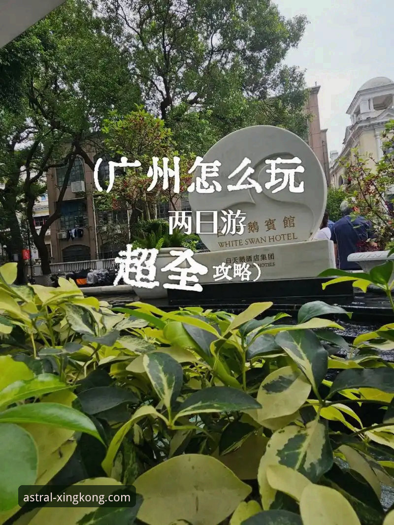 星空体育平台使用指南：从新手到达人的完整攻略